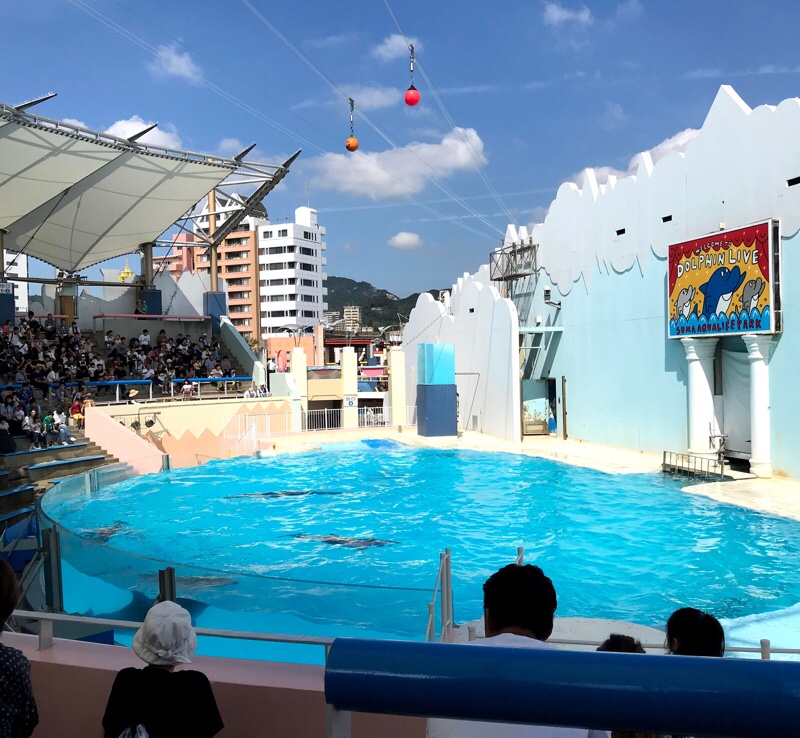 須磨水族館 周辺 ご飯 出会い系サイト